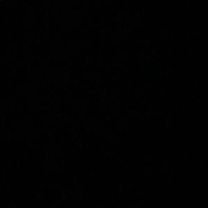 Meet your Posher, Tamera